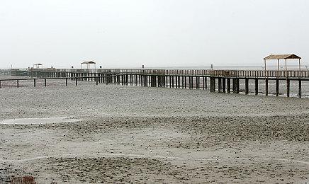 《马力欧激战前锋：战斗联赛》举行线下发售庆典